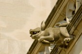 Low angle view of a pig gargoyle, National Cathedral, Washington DC, USA