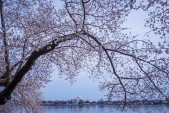 ThinkstockPhotos-659054684