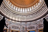capitol-dome-rotunda-statues-dc-picture-id507895643